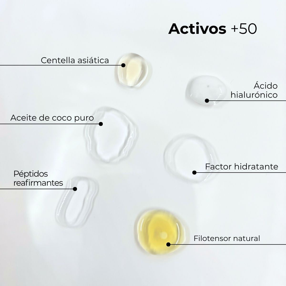 Crema Facial Regenerante Intensiva Anti-Arrugas 50+